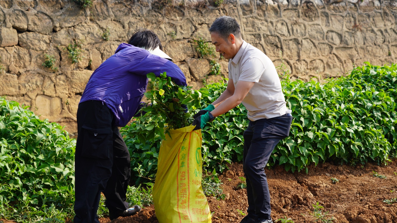 DSC00062.JPG DSC00062.JPG